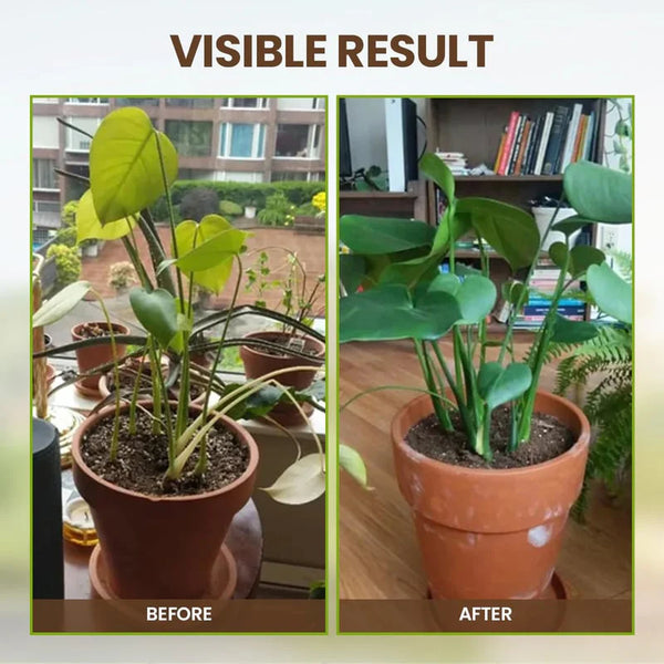 SOIL ACTIVATOR - PLANT'S BEST FRIEND [BUY 1 GET 1 FREE]