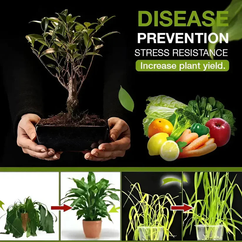 SOIL ACTIVATOR - PLANT'S BEST FRIEND [BUY 1 GET 1 FREE]